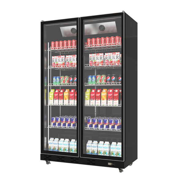 Double-door commercial glass door wine and beverage freezer