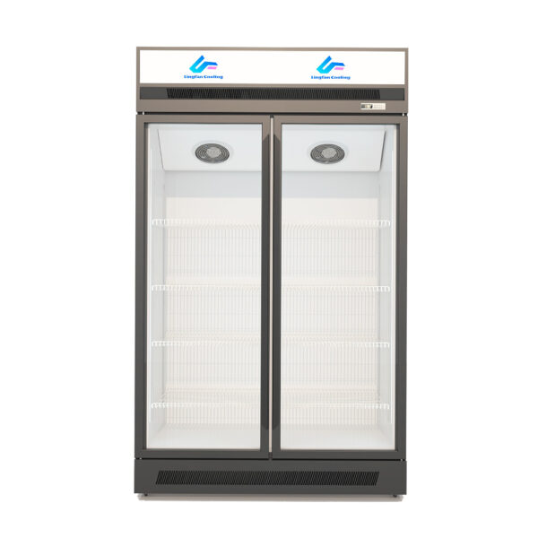 Commercial Display Refrigerator with Glass Door - Convenience Store Upright Freezer Supermarket Showcase Beverage Fridge