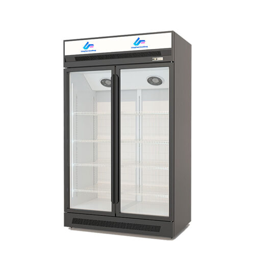 Luxury upper unit light box type double-door freezer