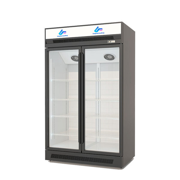 Luxury upper unit light box type double-door freezer