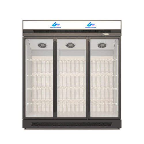 Convenience Store Commercial Upright Freezer Glass Door Beverage Fridge Supermarket Display Showcase