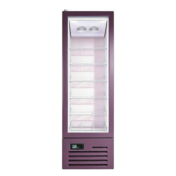 Beverage Cooler Commercial Upright Glass Door Beer Fridge Supermarket Display Refrigerator