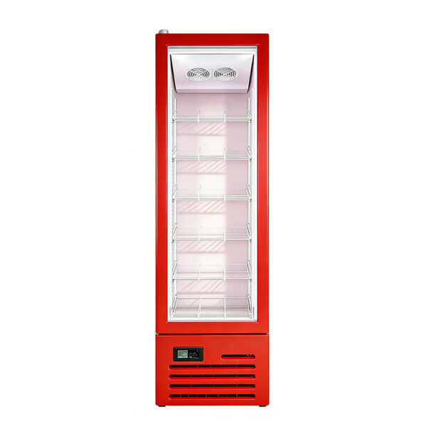 Refrigeration Upright Glass Door Display Freezer Energy Efficient with LED Lighting