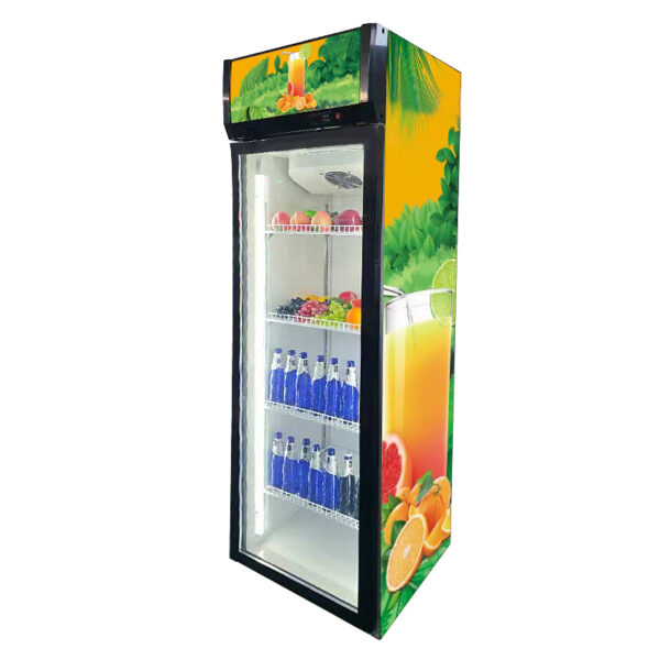 Commercial Customized Single-door Vertical Glass Door Solar/Electric Beverage Freezer with Digital Display Hotel Application