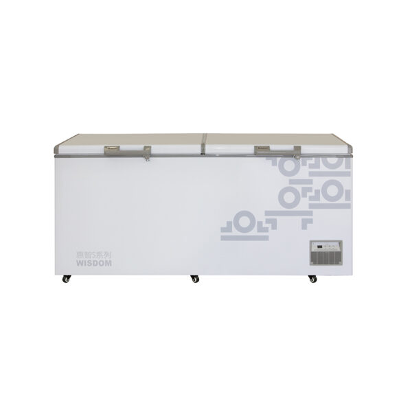 Large Capacity Double Door Chest Freezer Deep Freezer