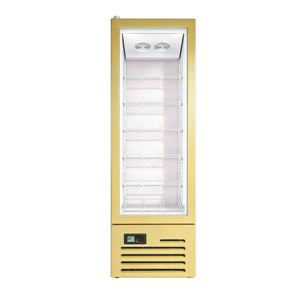 Upright Commercial Display Refrigerator Glass Door Fridge Supermarket Beverage Cooler