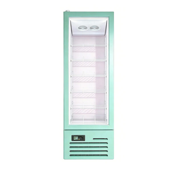 Freezer Upright Display Vertical Freezer with Glass Doors Air Cooling Refrigerator