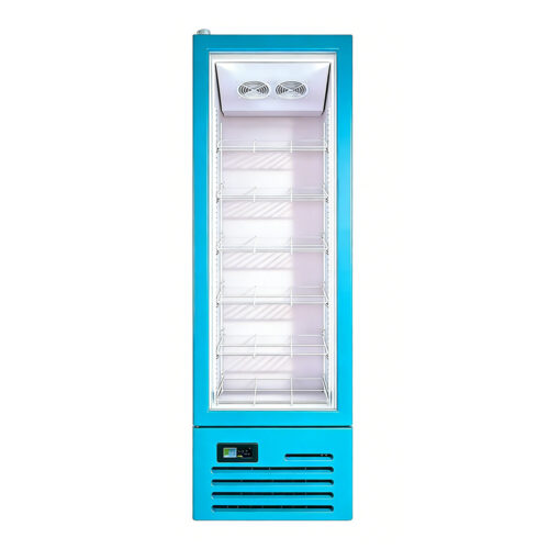 Glass Door Single-Temperature Frost Free Beverage Cooler Upright Display Refrigerator for Drinks with LED Lighting