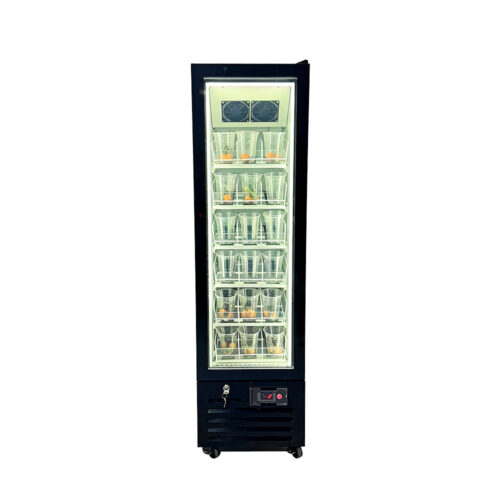 Upright Glass Door Display Freezer Energy Efficient with LED Lighting for Cafe Beverage Store Ice Cream & Frozen Food