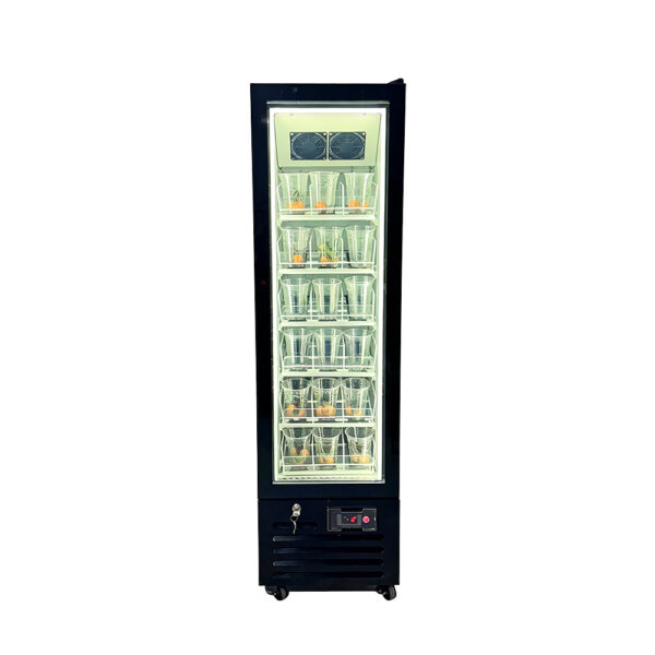 Upright Glass Door Display Freezer Energy Efficient with LED Lighting for Cafe Beverage Store Ice Cream & Frozen Food