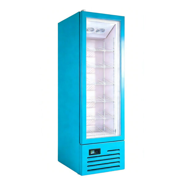 Commercial Glass Door Single-Temperature Frost Free Beverage Cooler Upright Display Refrigerator for Drinks with LED Lighting