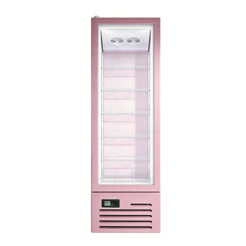 Glass Door Refrigerated Cabinet Digital Display Single-Temperature Direct Refrigeration Equipment