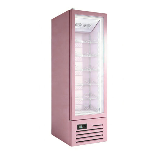 Refrigeration Equipment Glass Door Refrigerated Cabinet Digital Display Single-Temperature Direct