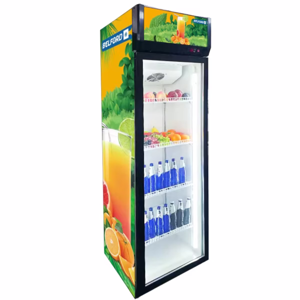 Supermarket Commercial Single Glass Door Upright Freezer Vertical Display Freezer for Frozen Food Drink Cooling Climate Type